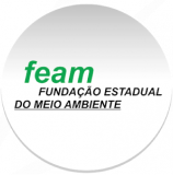 FEAM